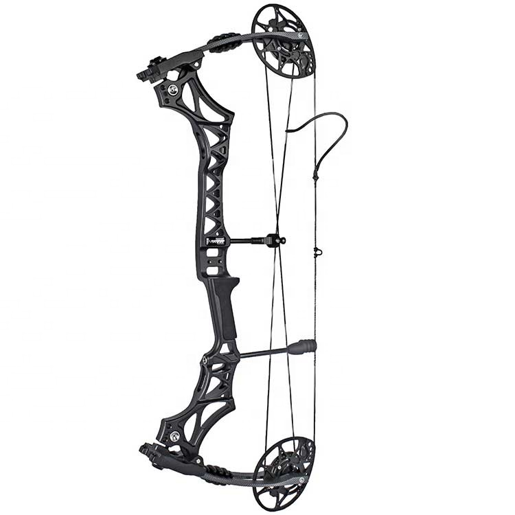 compound bow (1)