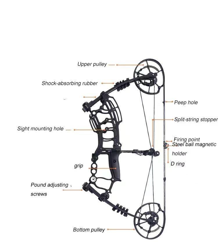 compound bow