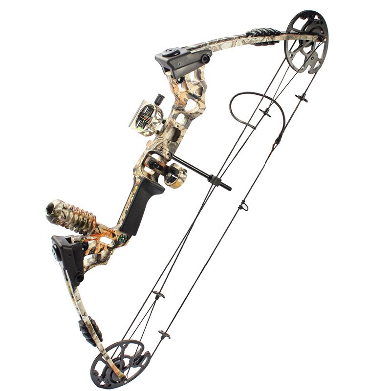 compound bow (6)